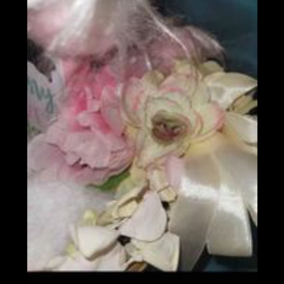 NURSERY, BABY SHOWER, SPRING ADORABLE ANNE GEDDES VINTAGE LG "BUNNY" BABY DOLL - Picture 7 of 10